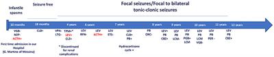 Epileptic Phenotype and Cannabidiol Efficacy in a Williams–Beuren Syndrome Patient With Atypical Deletion: A Case Report